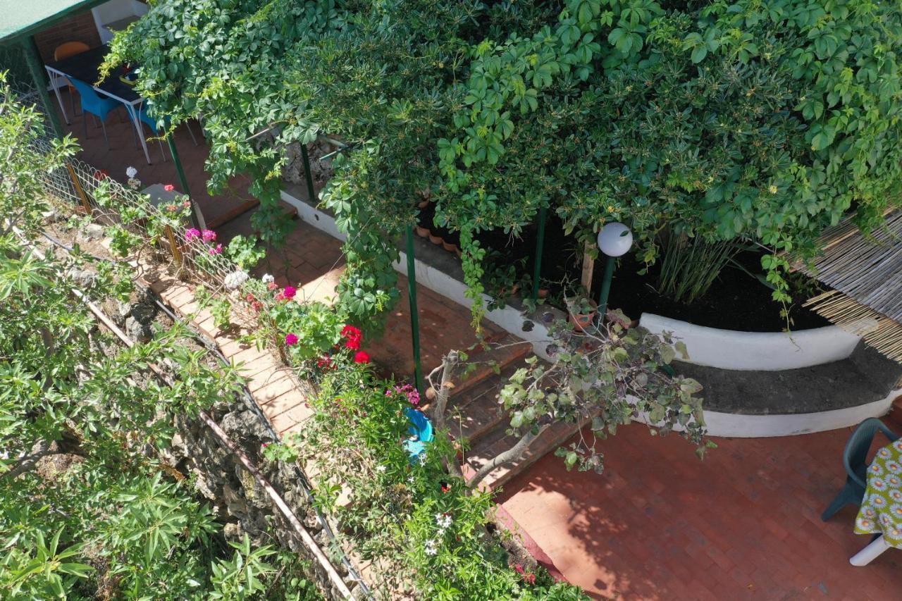Casa Elvira Villa Terrasini Buitenkant foto