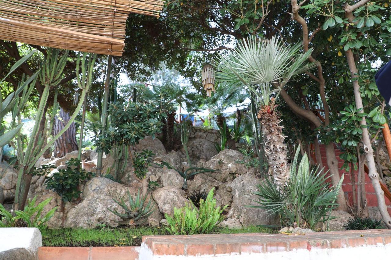 Casa Elvira Villa Terrasini Buitenkant foto
